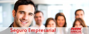 Seguro Empresarial.jpg
